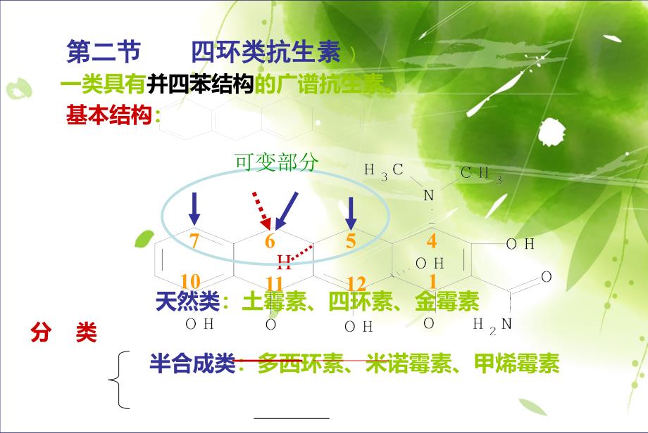 四环素类抗生素概述剖析课件_第1页