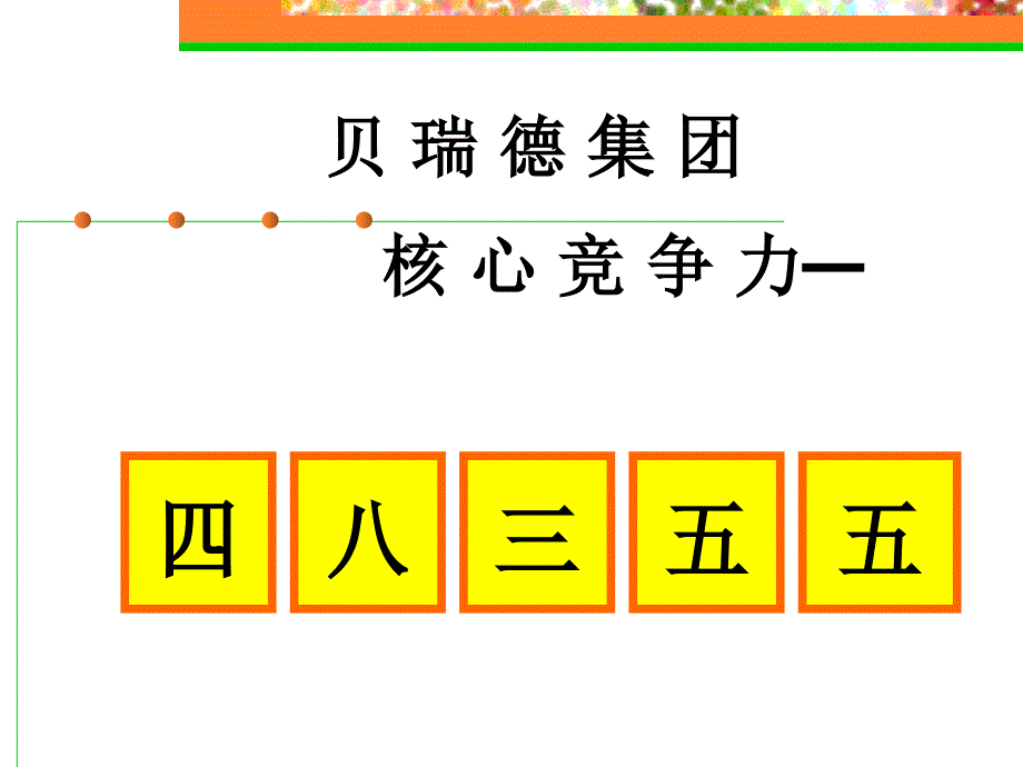 贝瑞德核心竞争力课件_第1页