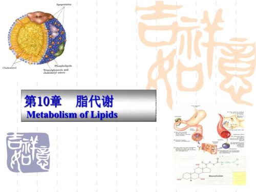 動物生物化學 10 脂類代謝