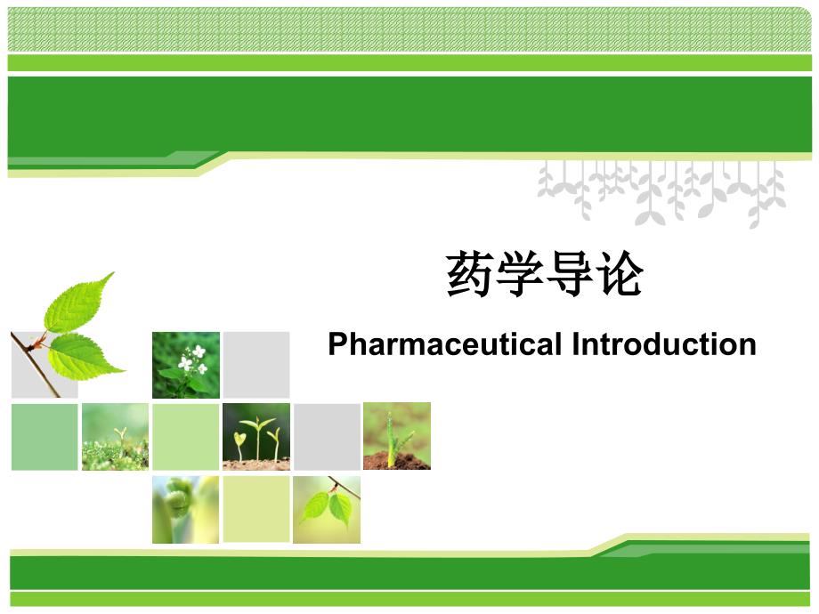 药学导论Pharmaceutical-Introduction课件_第1页