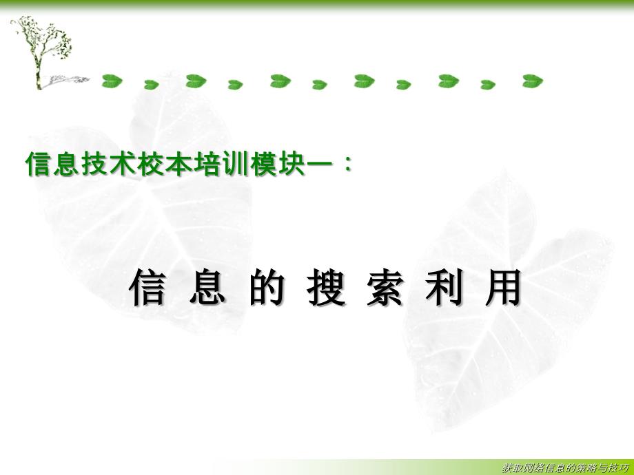 信息技术培训——信息的搜索利用_第1页