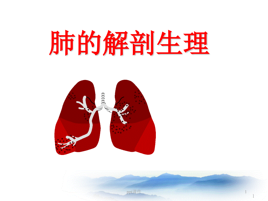 肺的解剖和生理--课件_第1页