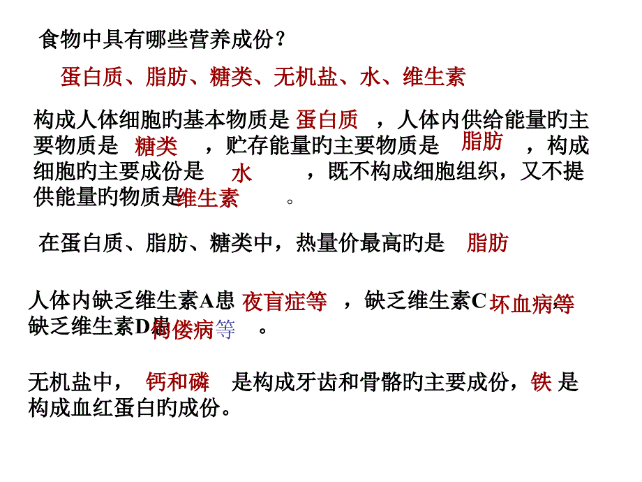 消化和吸收教学_第1页