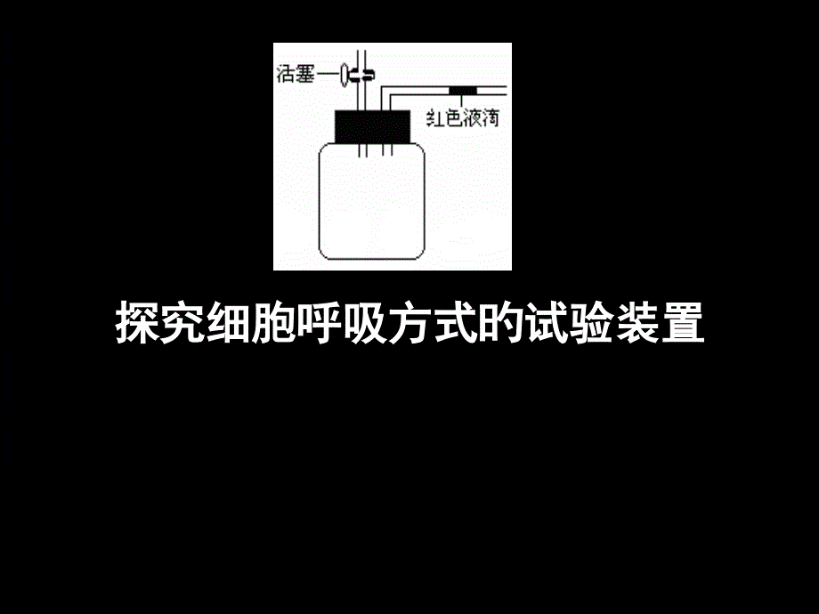 细胞呼吸方式的判断_第1页