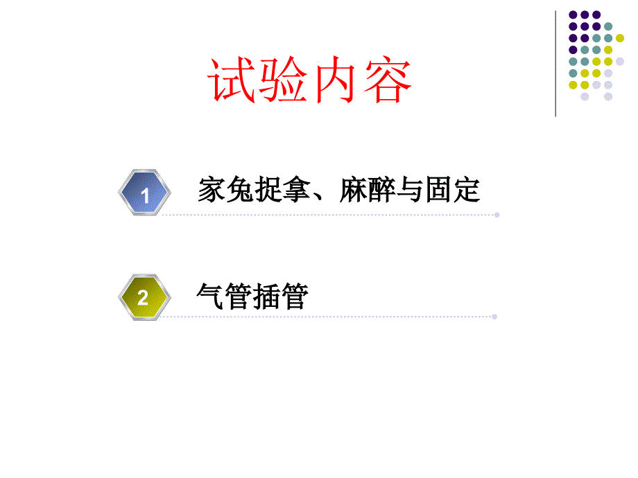 机能学实验家兔的捉拿麻醉气管插管_第1页