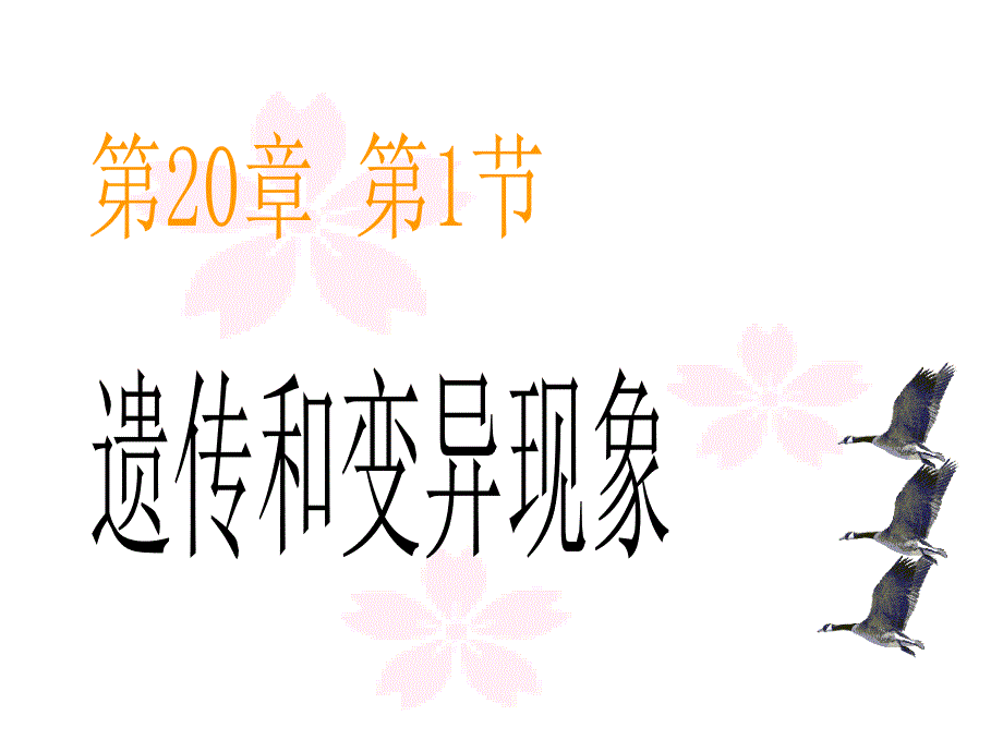 第20章_第1节_遗传和变异现象_第1页