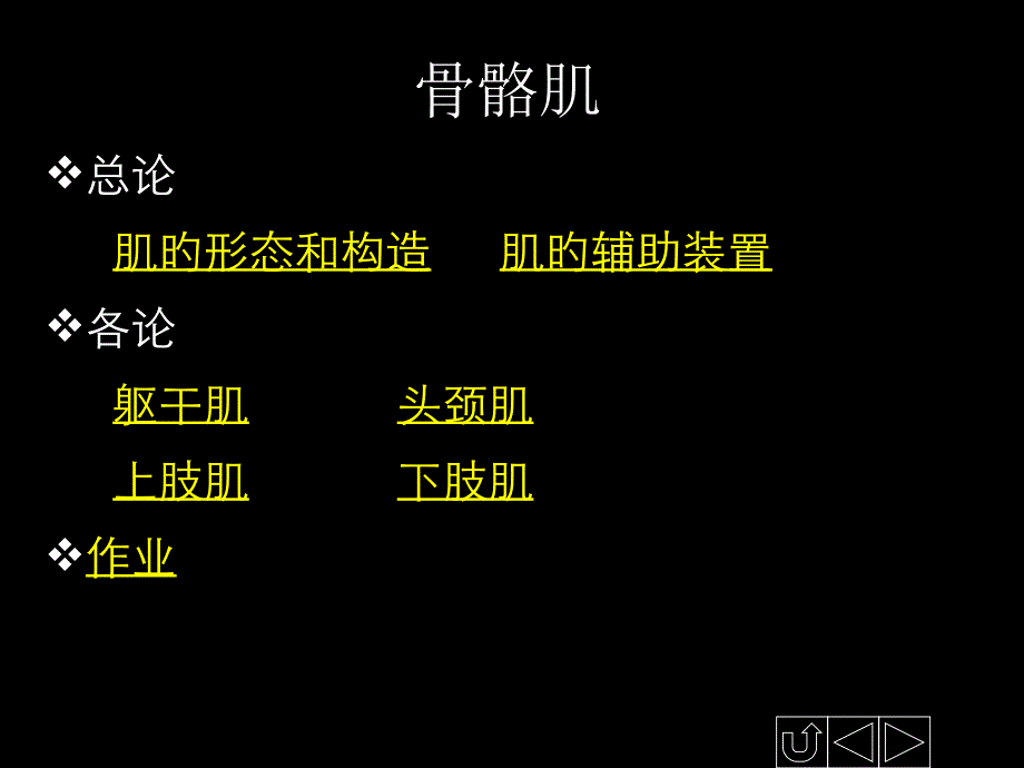 正常人体解剖学骨骼肌_第1页