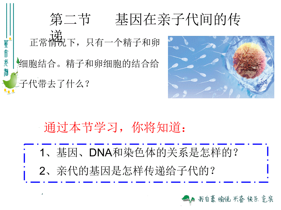 基因在亲子代间的传递 (2)_第1页