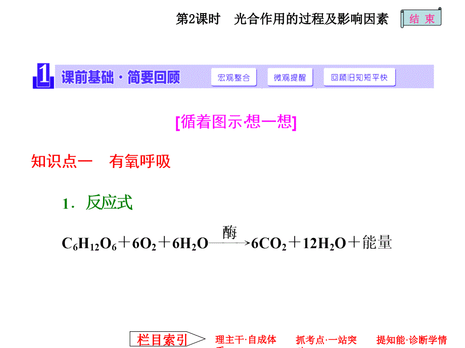 呼吸作用与光合作用的过程及影响因素_第1页