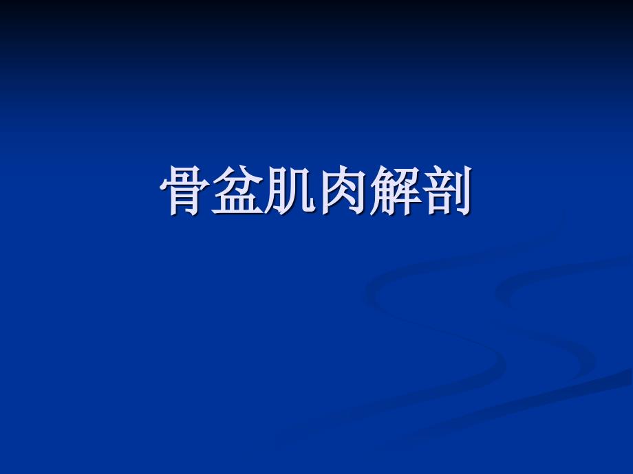 骨盆肌肉MRI解剖医疗_第1页