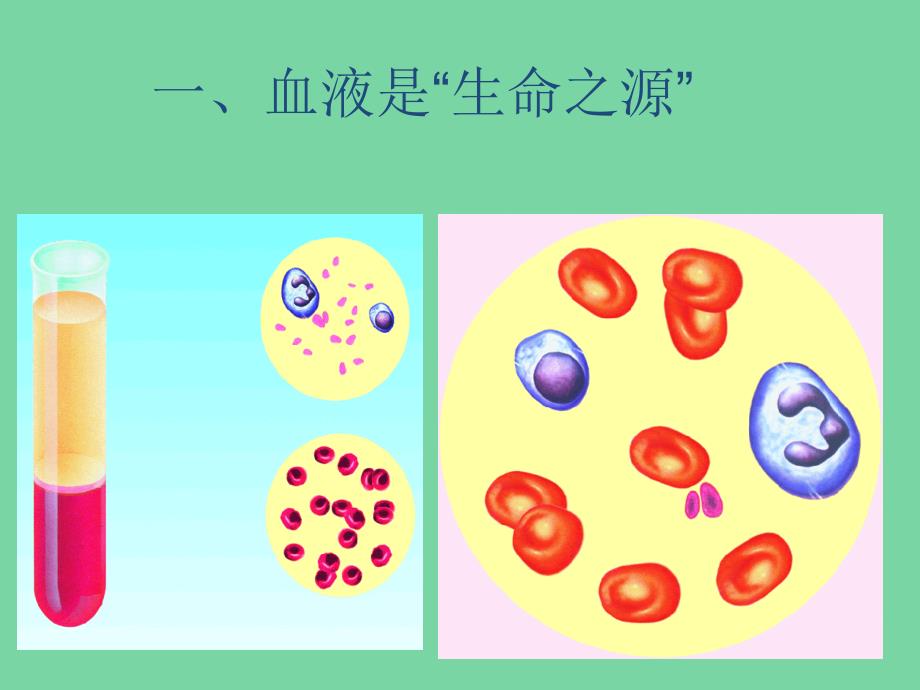 生命之源血液_第1頁