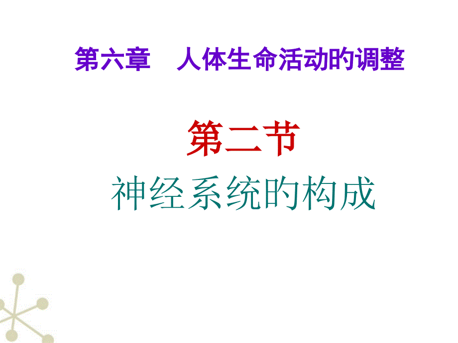 神经系统的组成专题知识宣教_第1页