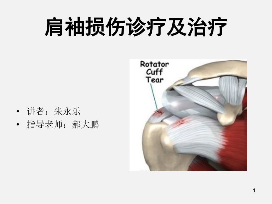 肩袖损伤诊断与治疗_第1页