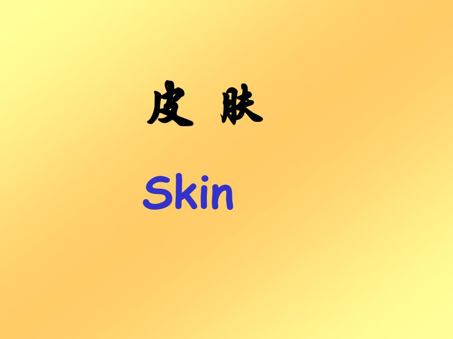 皮肤skin组织学与胚胎学_第1页