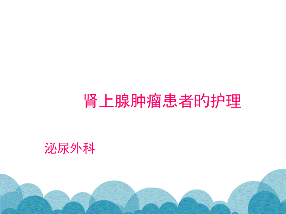 肾上腺肿瘤患者的护理查房_第1页