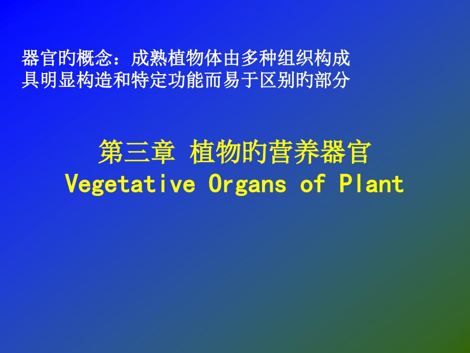 植物的营养器官根_第1页