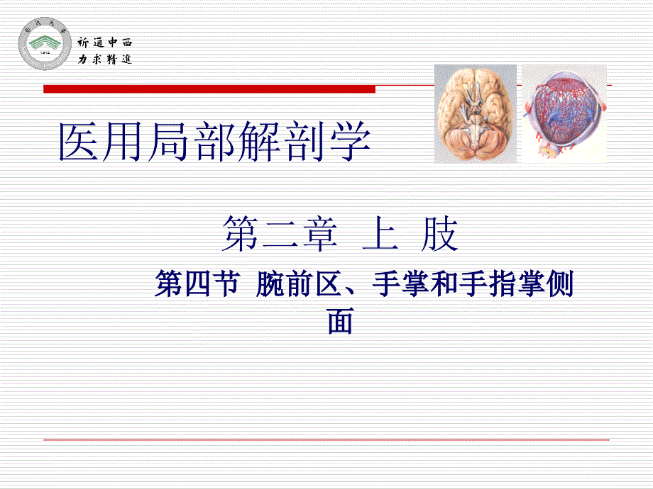 医用局部解剖学腕前区手掌和手指掌侧面_第1页