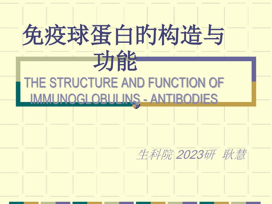 免疫球蛋白的结构和功能_第1页