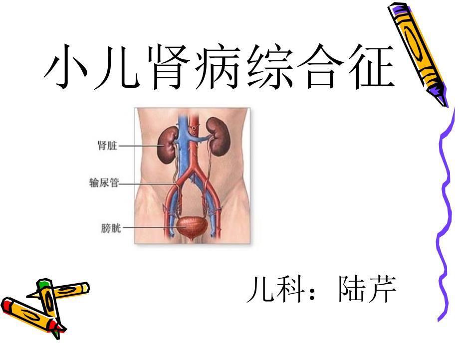 小儿肾病综合征_第1页