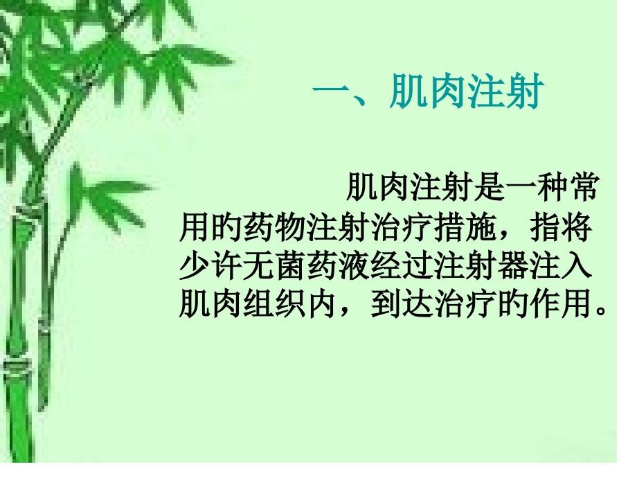 肌肉注射专题知识讲座_第1页