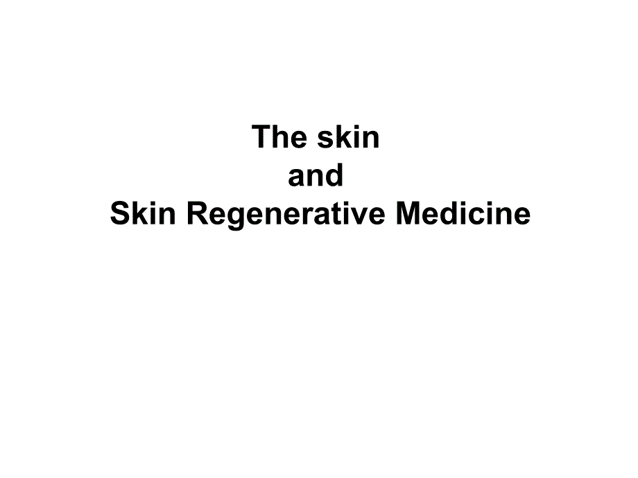 Skin皮肤专题知识讲座_第1页