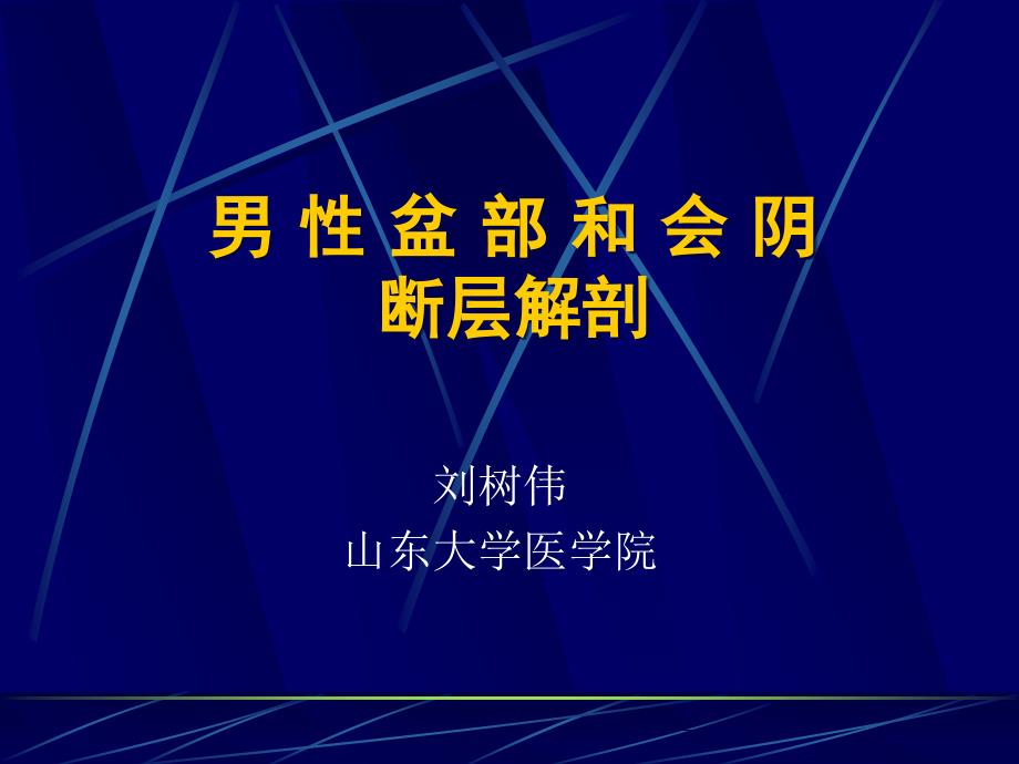 男性盆部和會(huì)陰斷層解剖研究_第1頁(yè)