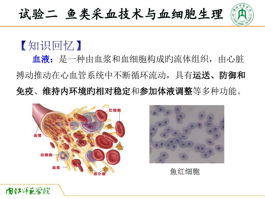 鱼类采血技术和血细胞生理_第1页