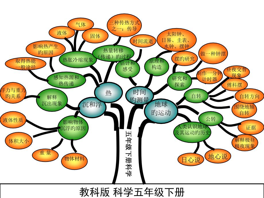 五下科学_第一单元复习_第1页