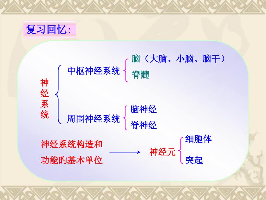 神经调节的基本方式医疗_第1页