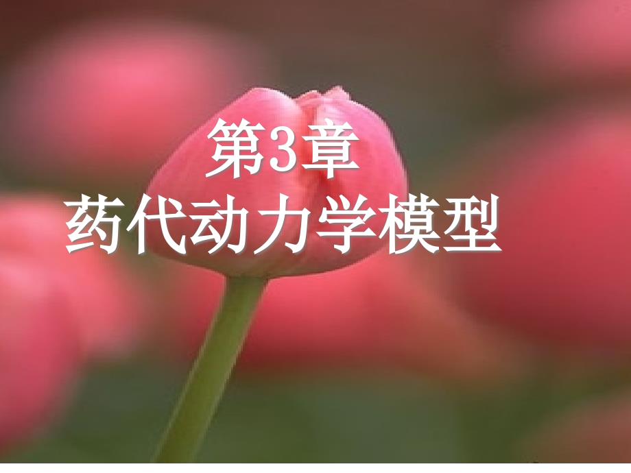 药代动力学模型_第1页