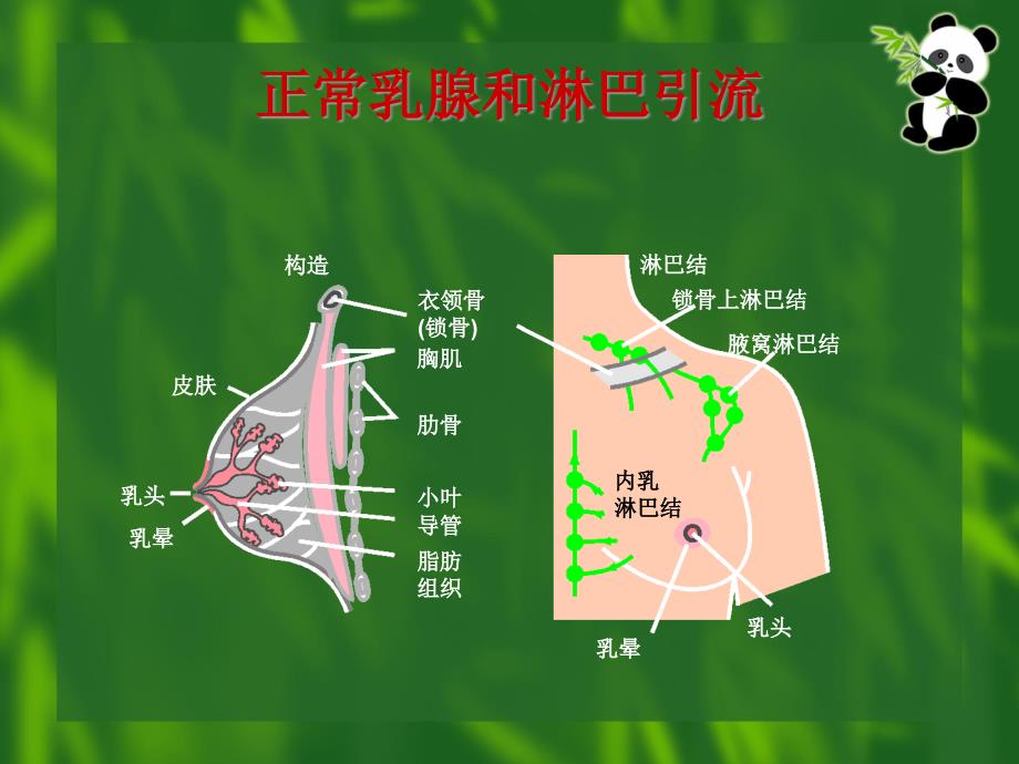 乳腺癌TNM分期专题知识_第1页