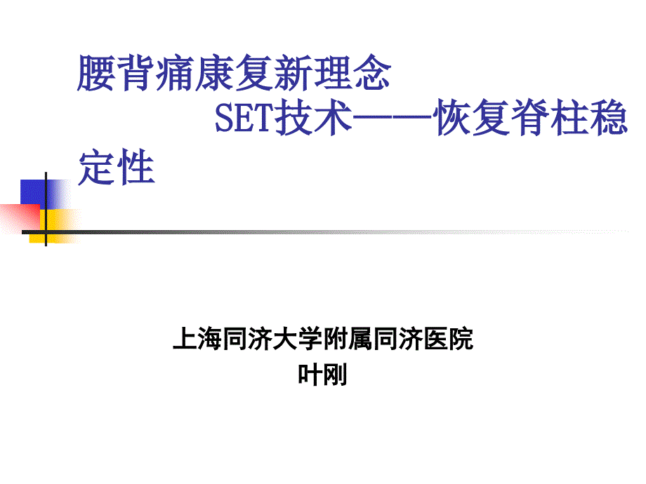 腰背痛康复新理念SET技术恢复脊柱稳定性_第1页