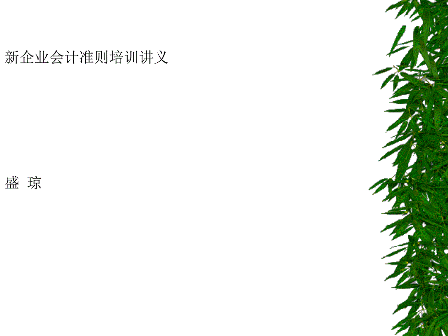 新企业会计准则培训讲义_第1页