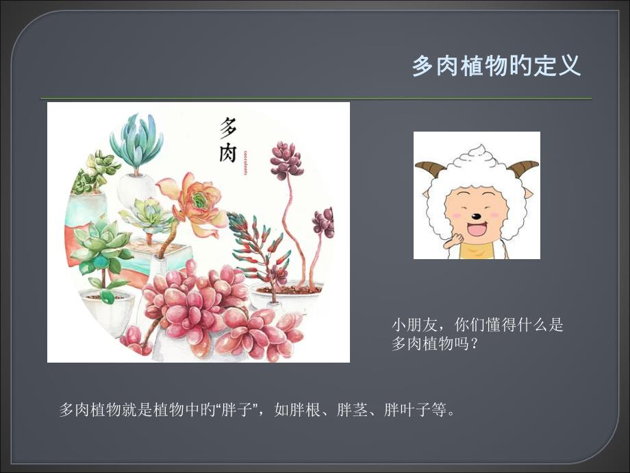 多肉植物幼儿园_第1页