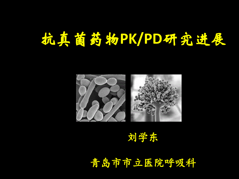 抗真菌药物PKPD专题知识_第1页