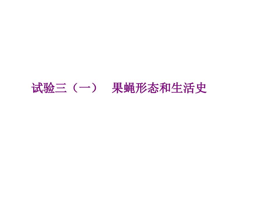 实验果蝇成虫的形态观察与幼虫唾腺染色体观察_第1页