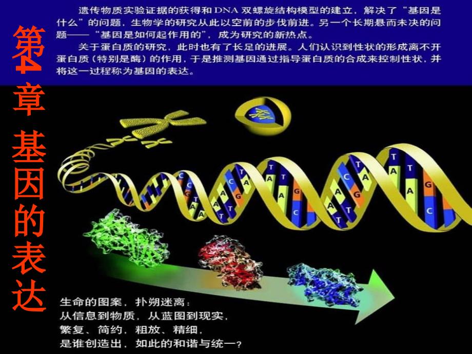 生物：基因指导蛋白质的合成-优秀PPT_第1页