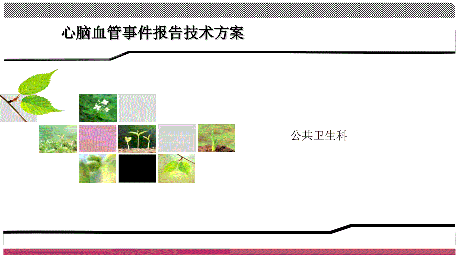 心脑血管事件登记工作方案_第1页