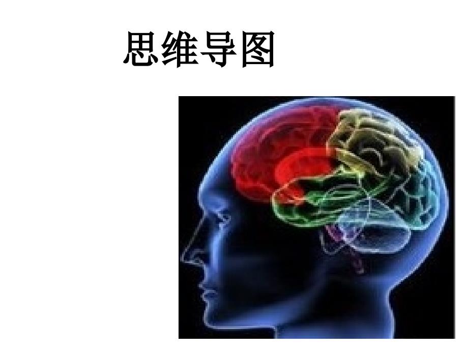 思维导图专业资料_第1页