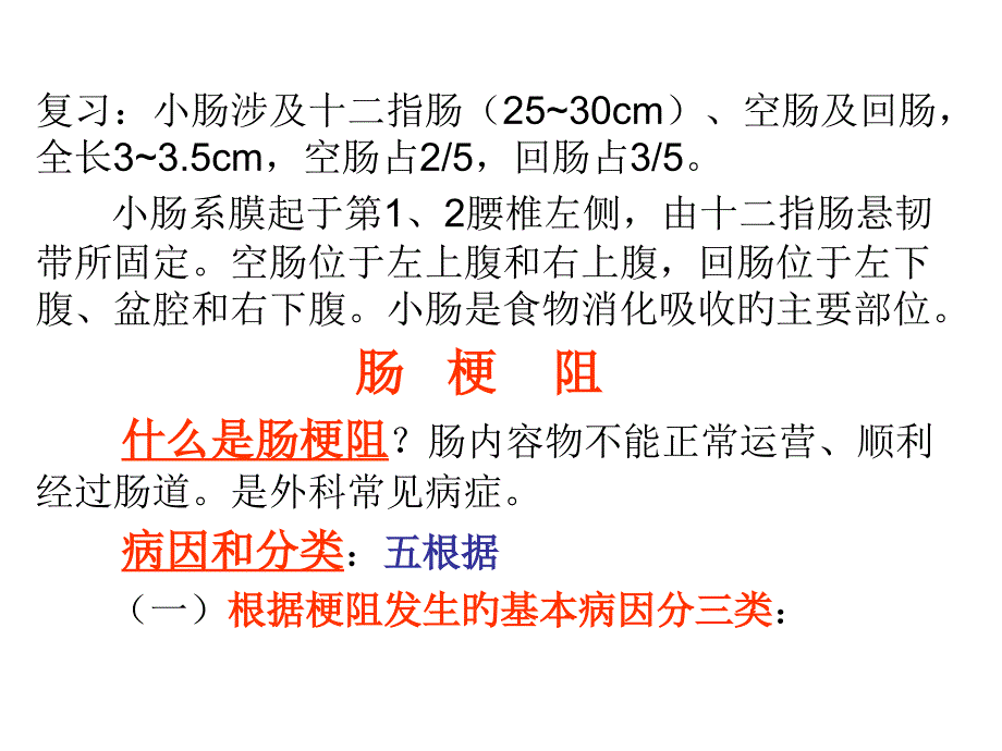 小肠疾病医学知识宣教_第1页