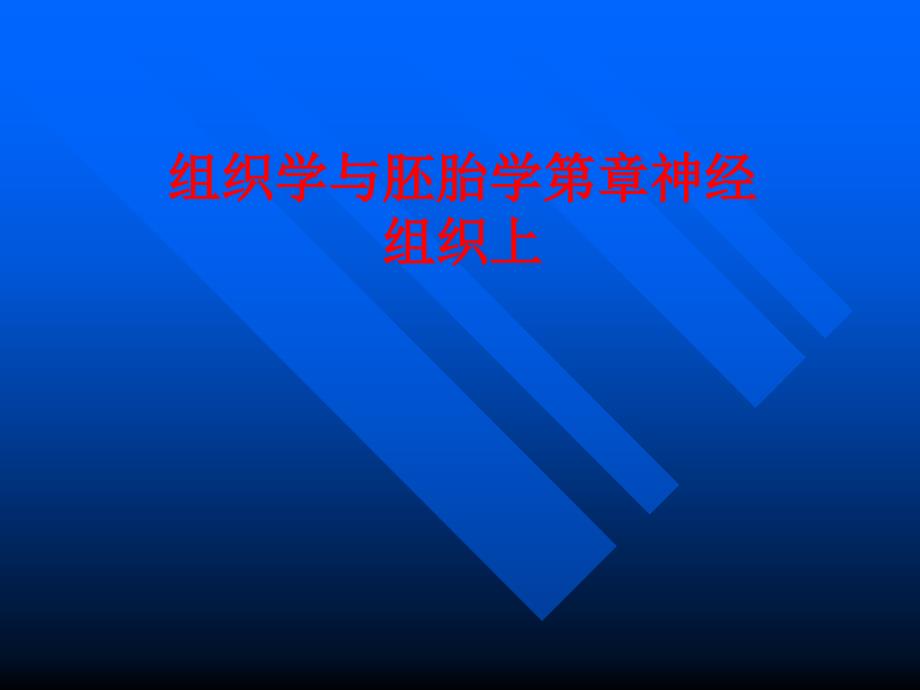 组织学和胚胎学神经组织讲解_第1页