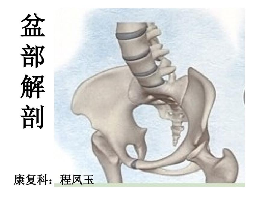 盆部功能解剖_第1页