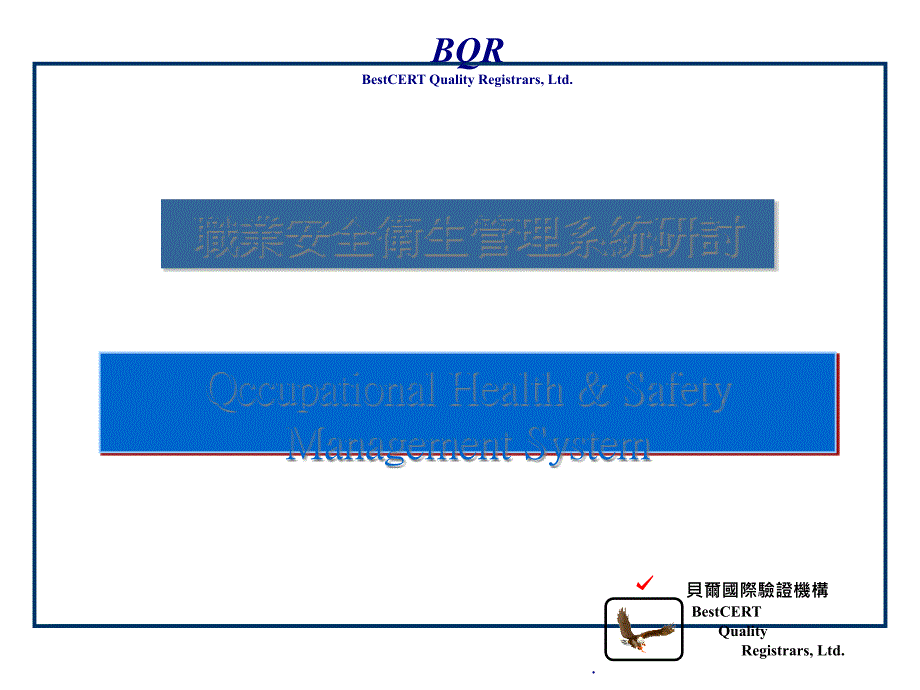 职业安全卫生系统研讨_第1页