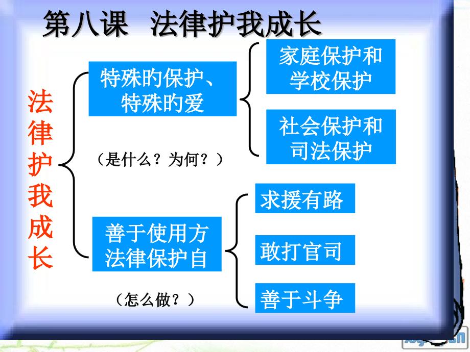 特殊的保护特殊的爱_第1页