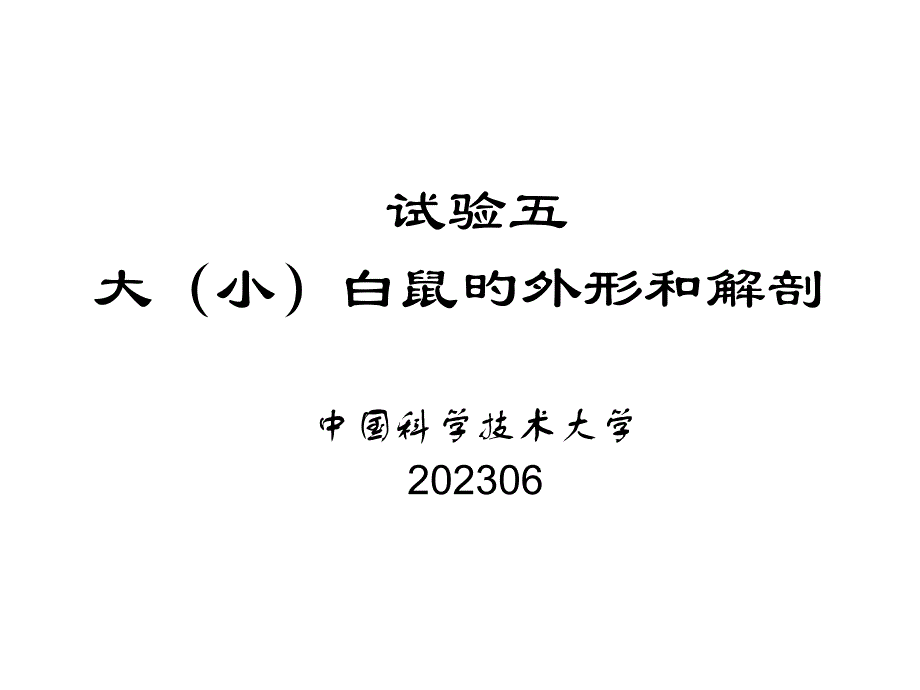 大白鼠的解剖_第1页