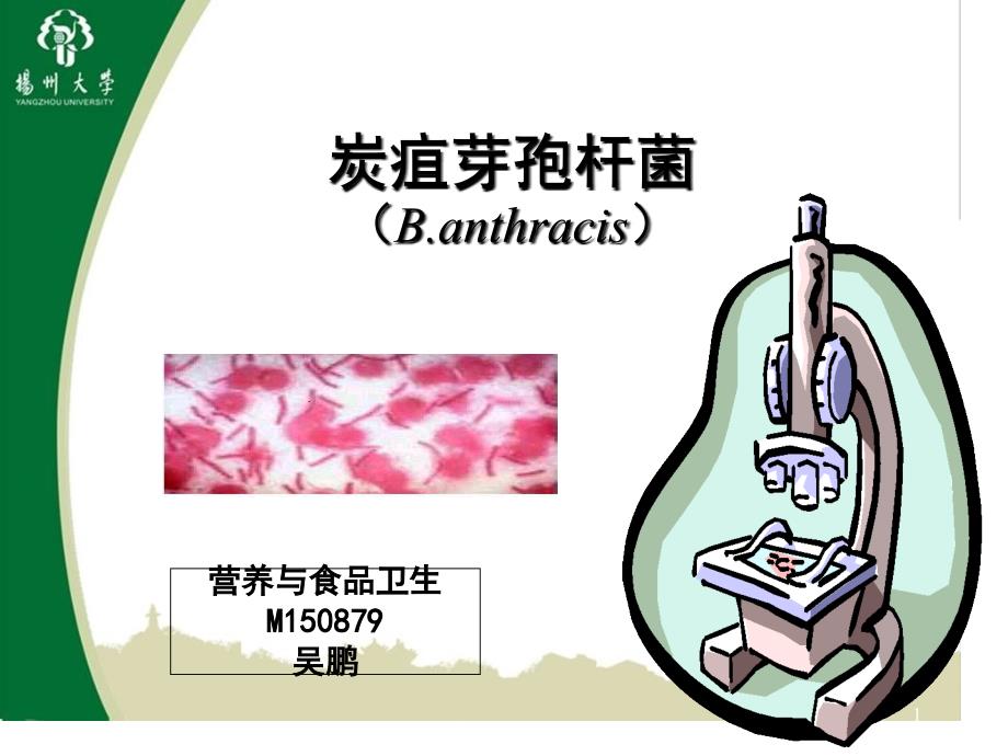 炭疽杆菌专题知识讲座_第1页