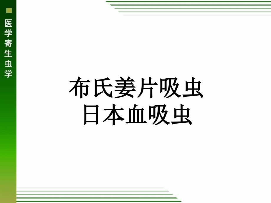 布氏姜片吸虫日本血吸虫_第1页