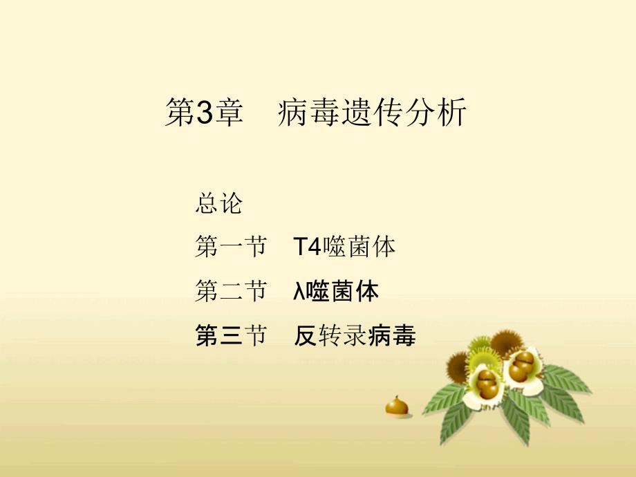 病毒遗传分析_第1页