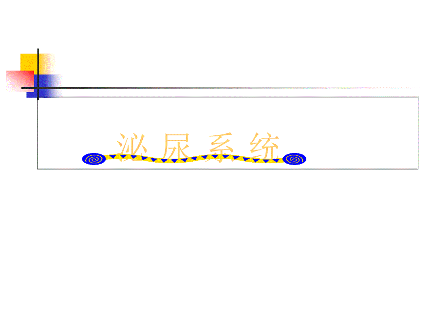 人体解剖学之泌尿系统_第1页