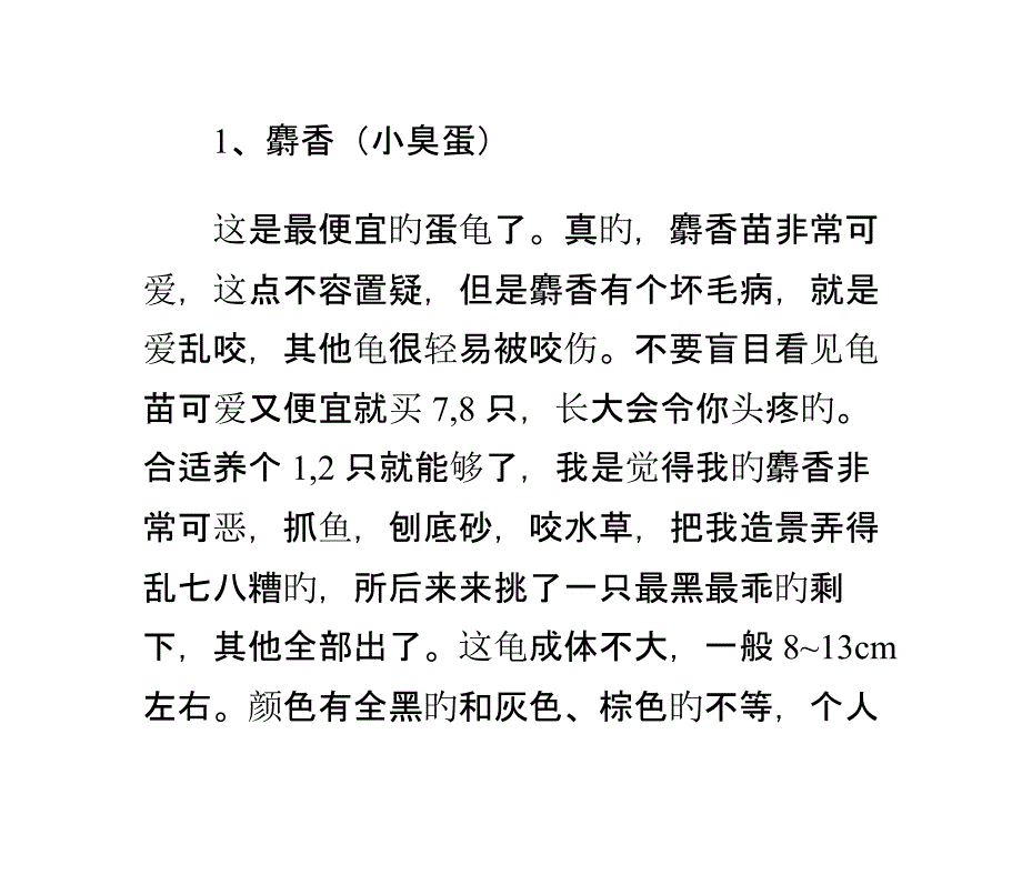 新手必读的蛋龟品种和饲养经验知识汇总_第1页